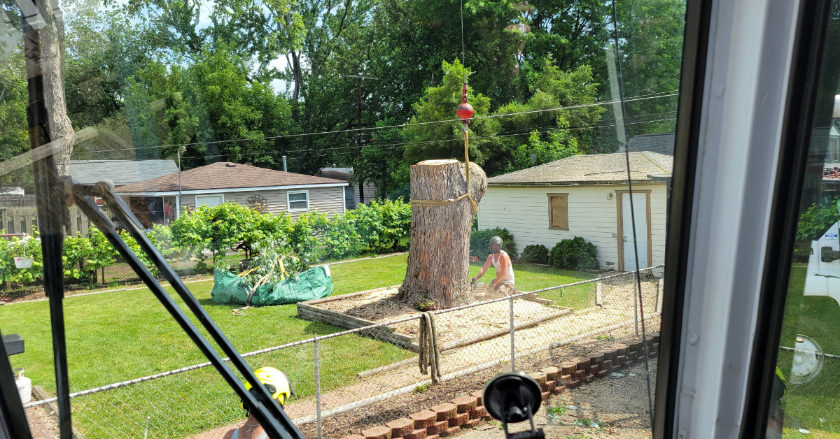 Clear your yard fast with expert stump removal & grinding in Southeast Michigan. Serving Farmington Hills.