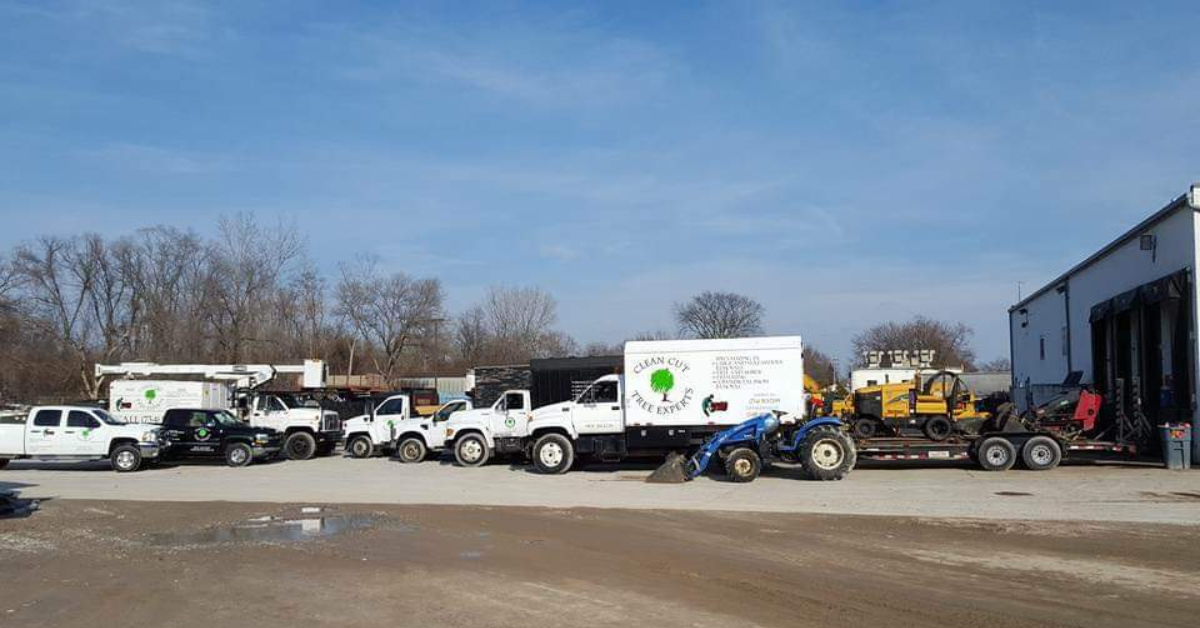 Tree Service Company