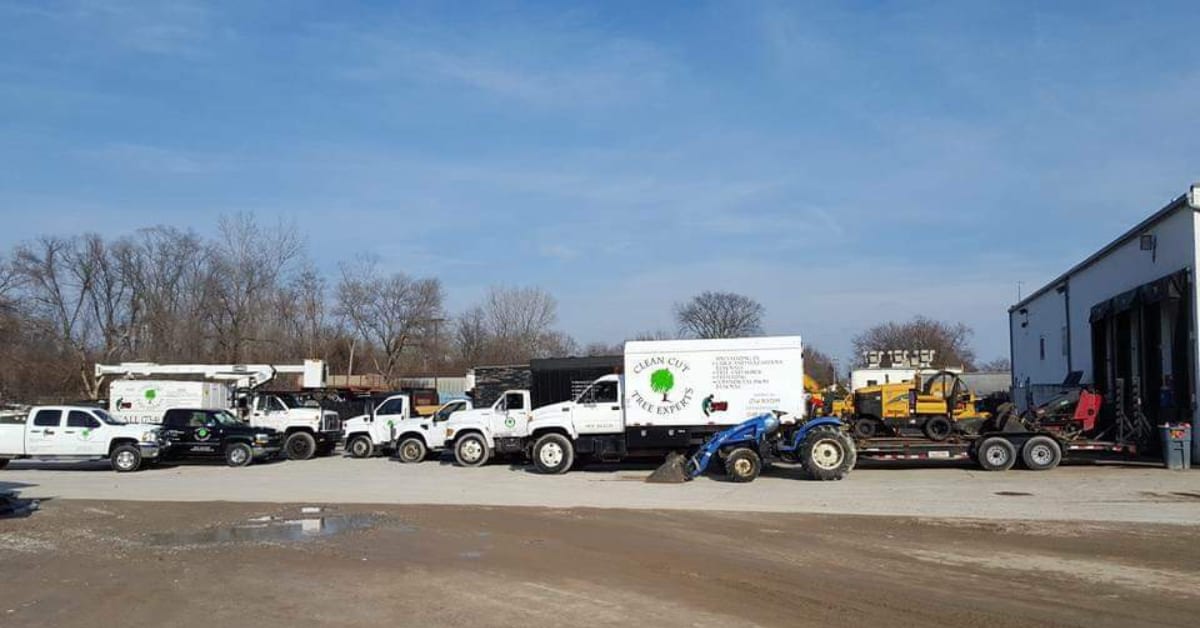 Tree Service Company