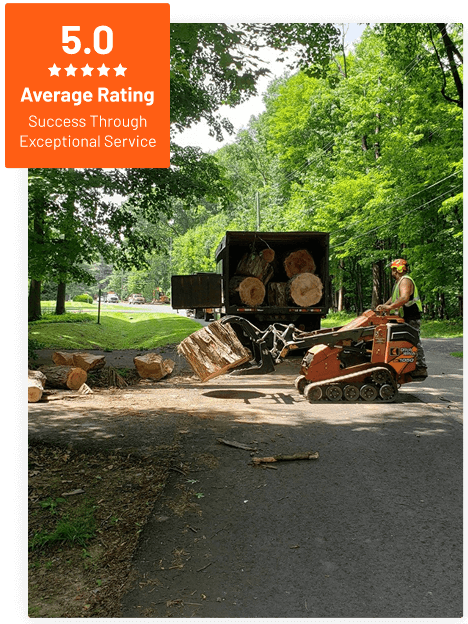 Commercial Tree Service